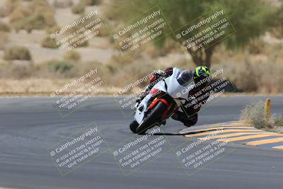 media/May-14-2023-SoCal Trackdays (Sun) [[024eb53b40]]/Turn 5 Tree of Life (1125am)/